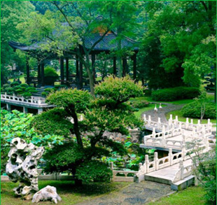 ����ɽ����ɭ�ֹ�԰